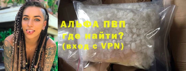 ешки Вяземский