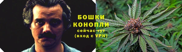 метадон Горнозаводск