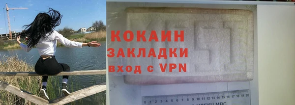 стаф Верея