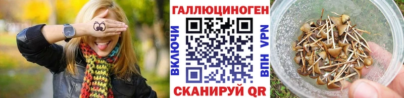 omg tor Железногорск-Илимский Галлюциногенные грибы мухоморы